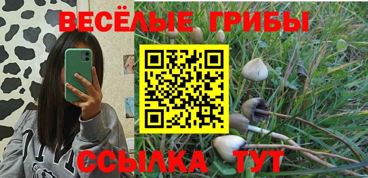 Псилоцибиновые грибы прущие грибы  Вход с VPN  Кулебаки 