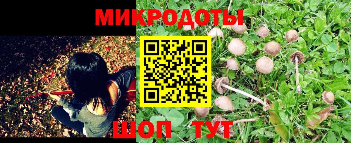 Псилоцибиновые грибы Magic Shrooms Кулебаки